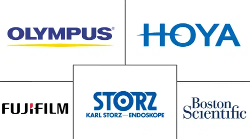 South Africa Endoscopy Devices Market Major Players