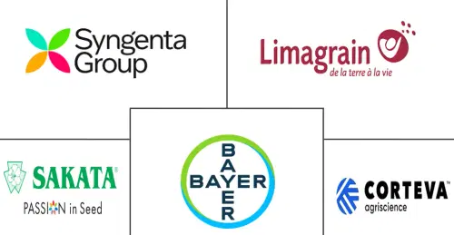 South Africa Seed Market Major Players