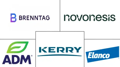 South America Feed Enzymes Market Major Players