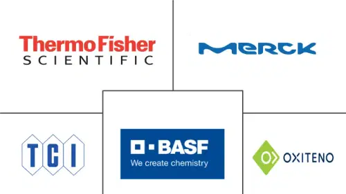 South America Isoamyl Acetate Market Major Players