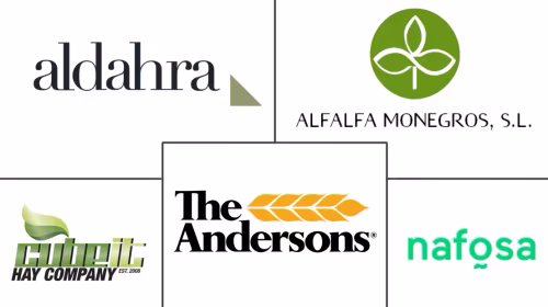 Spain Alfalfa Hay Market Major Players