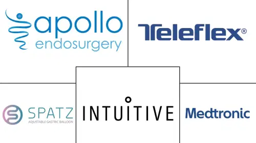 Spain Bariatric Surgery Market Major Players