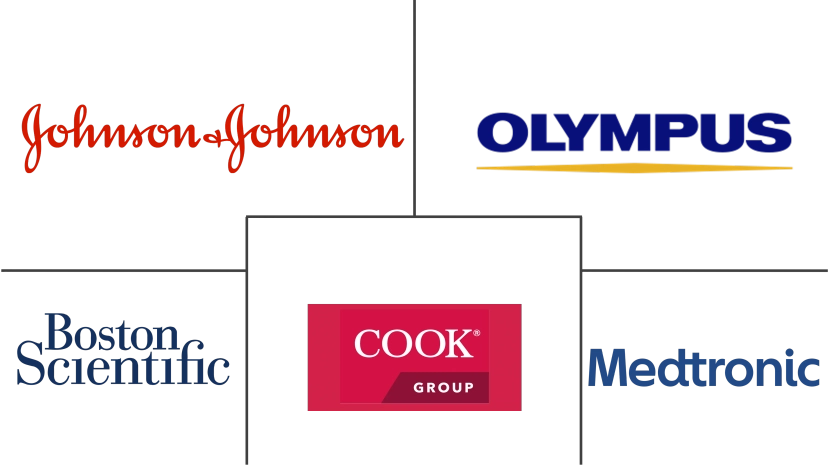 Major players in Spain Endoscopy Devices industry