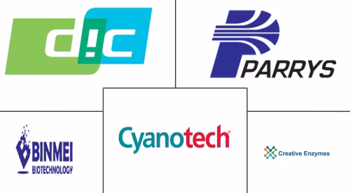 Spirulina Powder Market Major Players