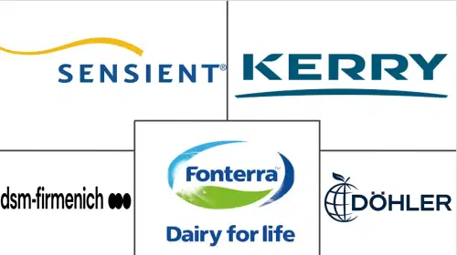 Spray Dried Food Market Major Players