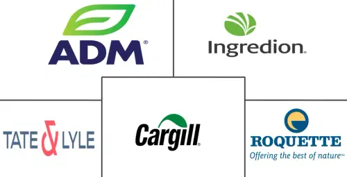 Starch And Starch Derivatives Market Major Players