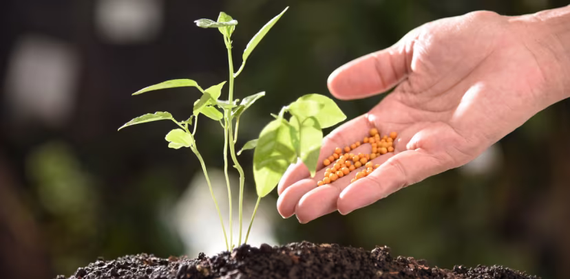 Fertilizer Reports Hub by Mordor Intelligence