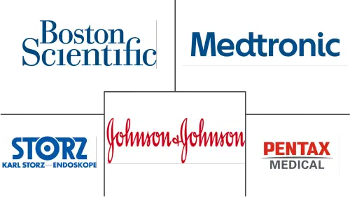 Sweden Endoscopy Devices Market Major Players