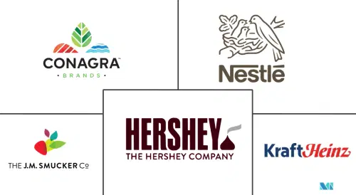 Syrup Market Major Players