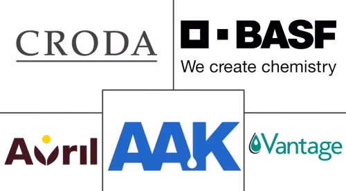 Vegetable Oils In Beauty And Personal Care Market Major Players