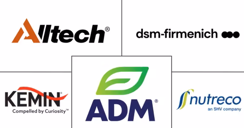 Vietnam Feed Additives Market Major Players