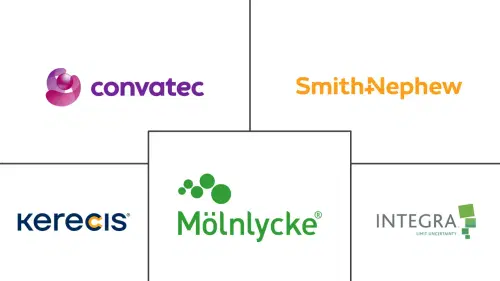 Global Wound Care Biologics Market Major Players