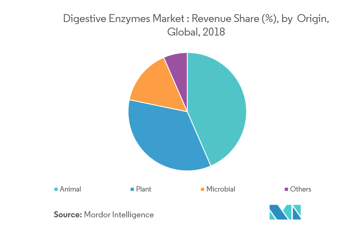 Digestive Enzymes Market Size, Growth, Trends, and Forecast (20192024)