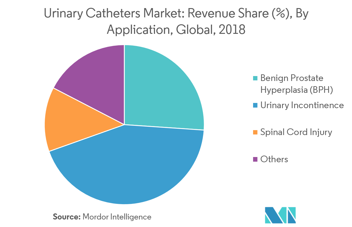 Urinary Catheters Market Growth, Trends, and Forecast (20192024)