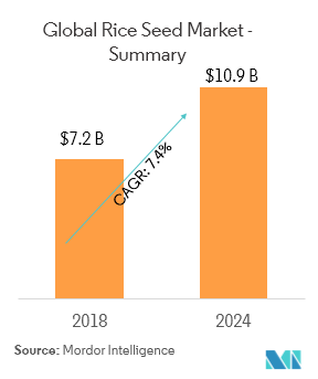 Global Rice Seed Market | Growth, Trends, And Forecast (2019-2024)