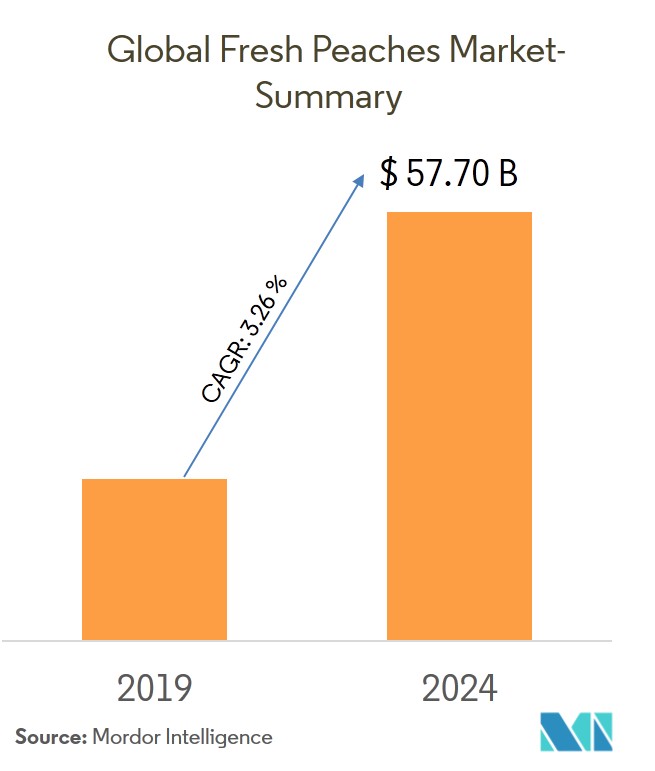 Fresh Peach Market Size Share Forecast (20192024)