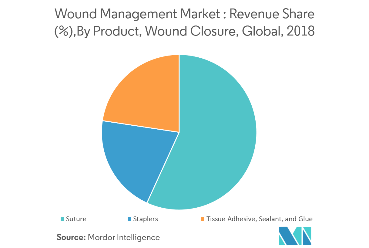 Wound Management Market Growth, Trends, and Forecast (2019 2024)