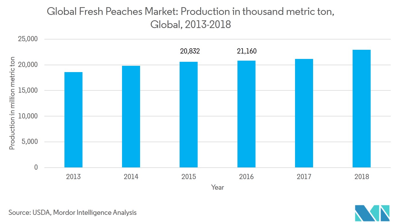 Fresh Peach Market Size Share Forecast (20192024)