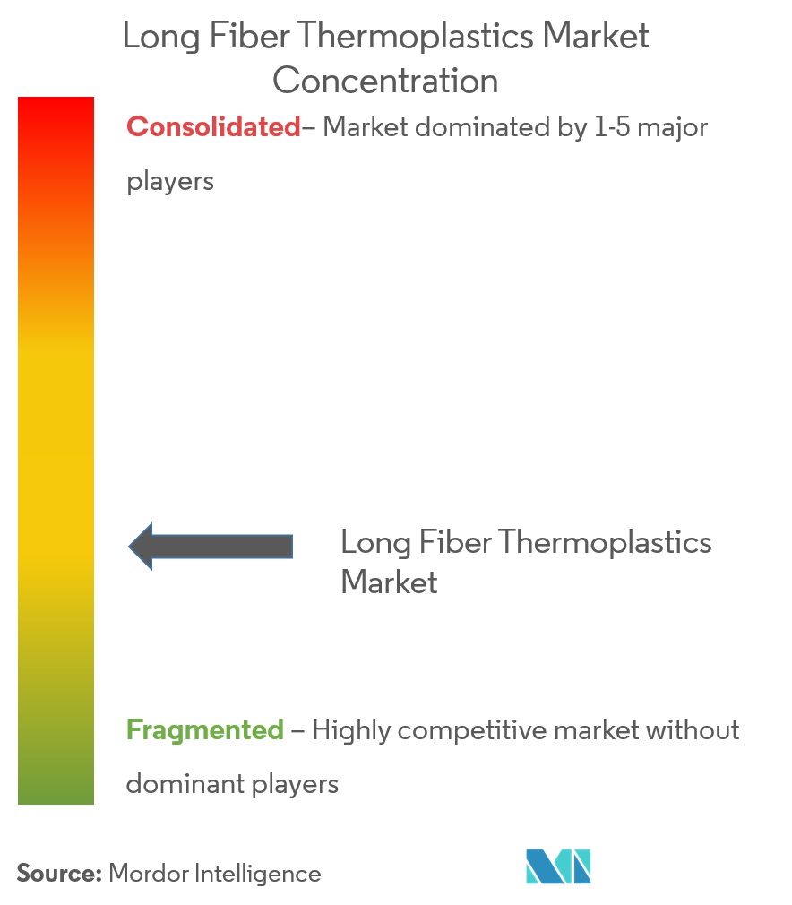 Thermoplastiques à fibres longuesConcentration du marché