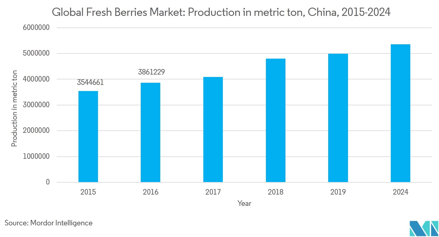 Fresh Berries Market | Growth | Trends | Forecast (2019-2024)