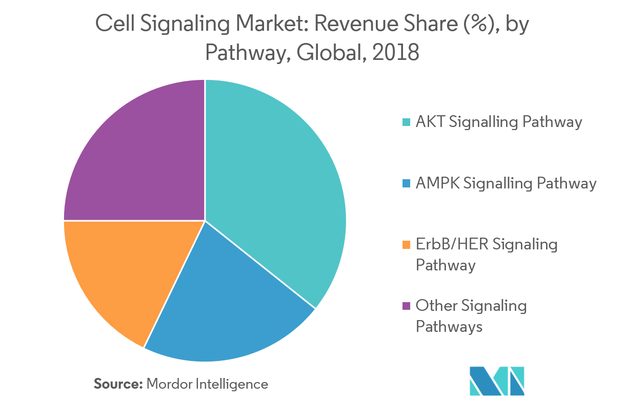 Cell Signaling Market Growth, Trends, and Forecast (20192024)