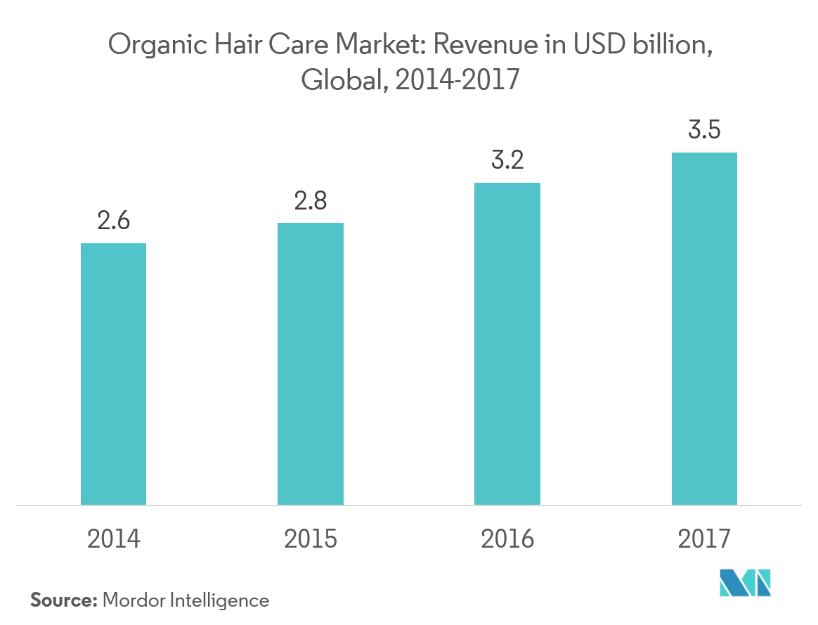 Hair Care Market Growth Trends Forecast (20192024)