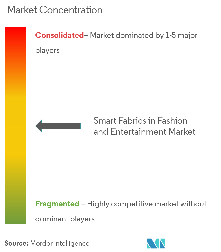 Smart Fabrics in Fashion and Entertainment Market Concentration