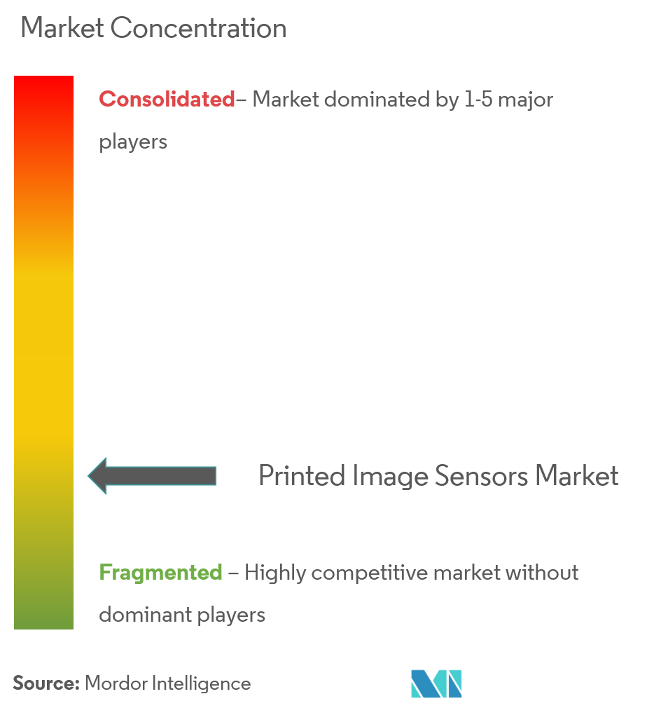Printed Image Sensors Market Concentration
