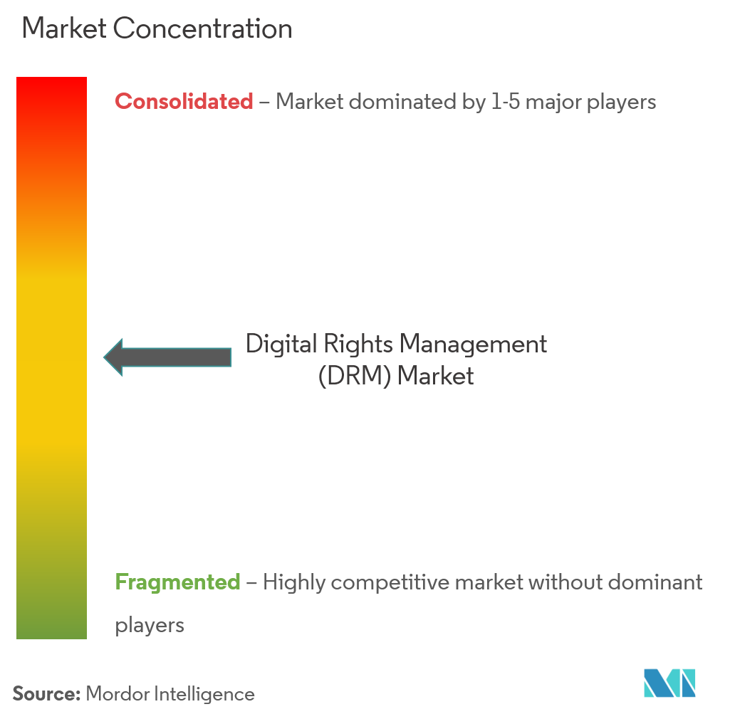 digital rights management drm market
