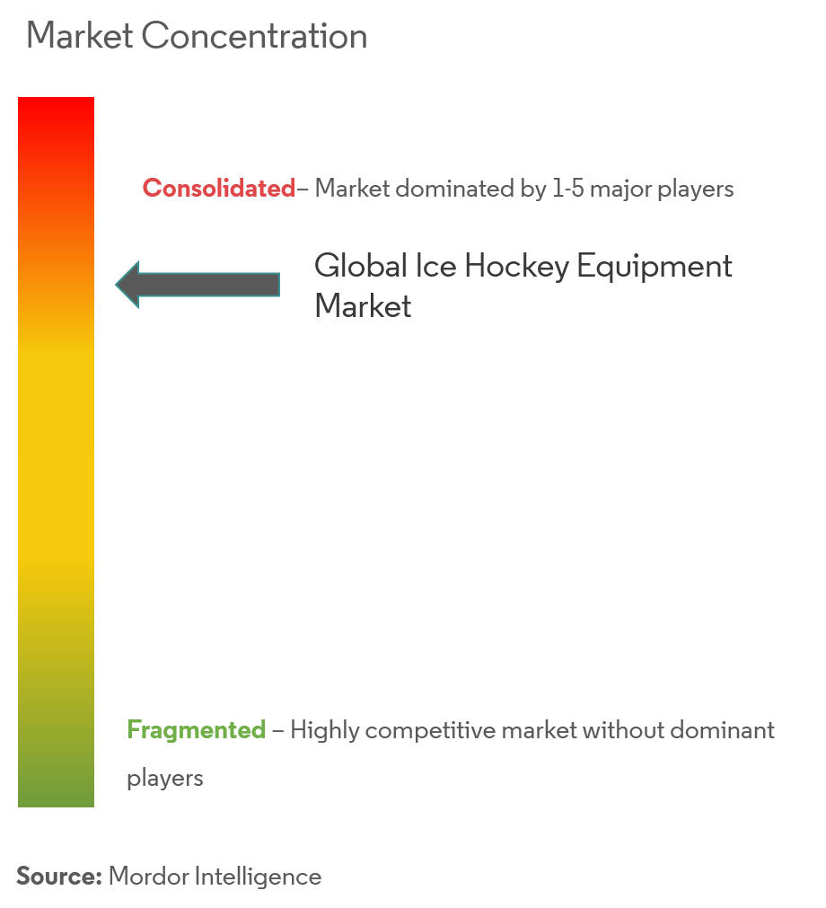 Global Ice Hockey Equipment Market Growth Trends Forecast