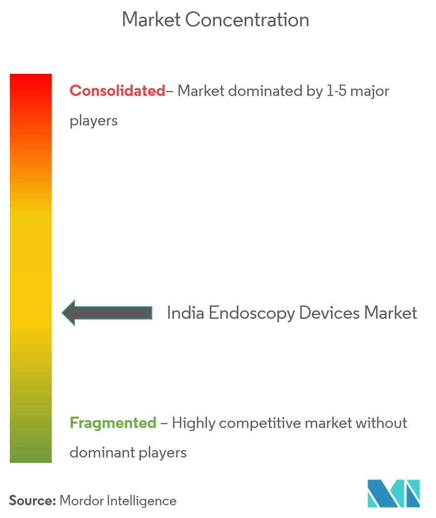India Endoscopy Devices Market Concentration
