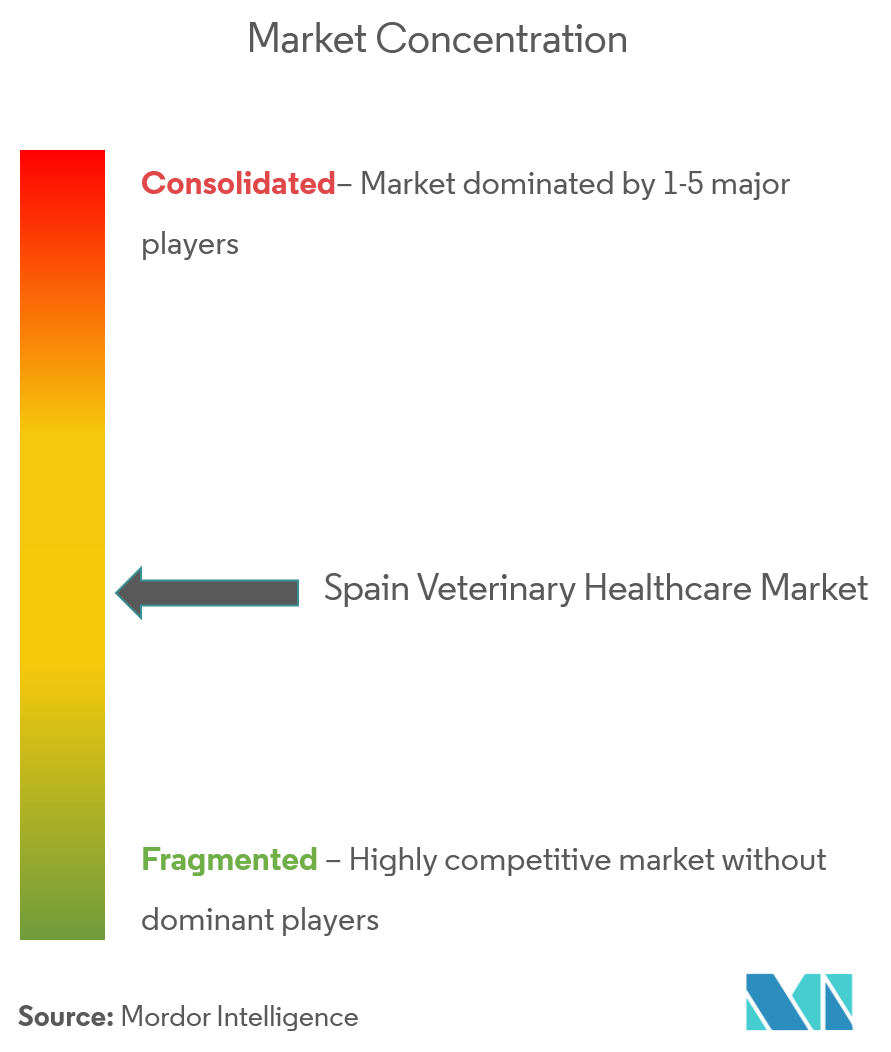 스페인 라이트닝 바카라 사이트 건강 관리 시장 집중