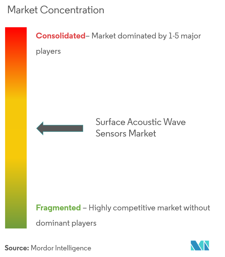 Surface Acoustic Wave Sensors Market Concentration
