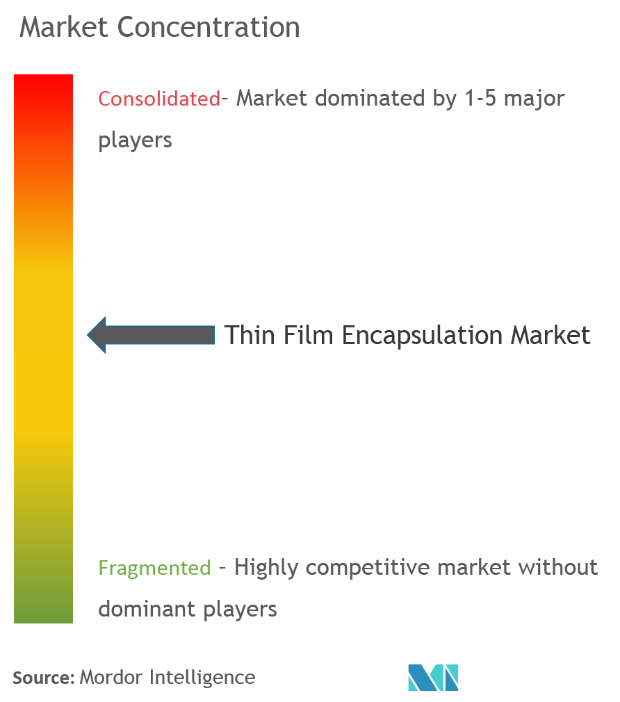 Thin Film Encapsulation Market Concentration