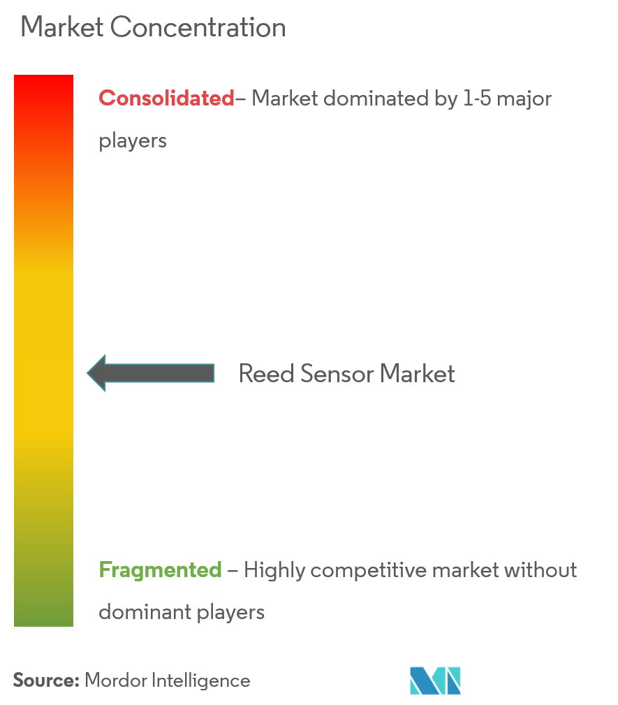 Reed Sensor Market Concentration