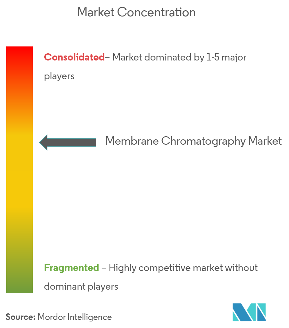 Membrane Chromatography Market Concentration