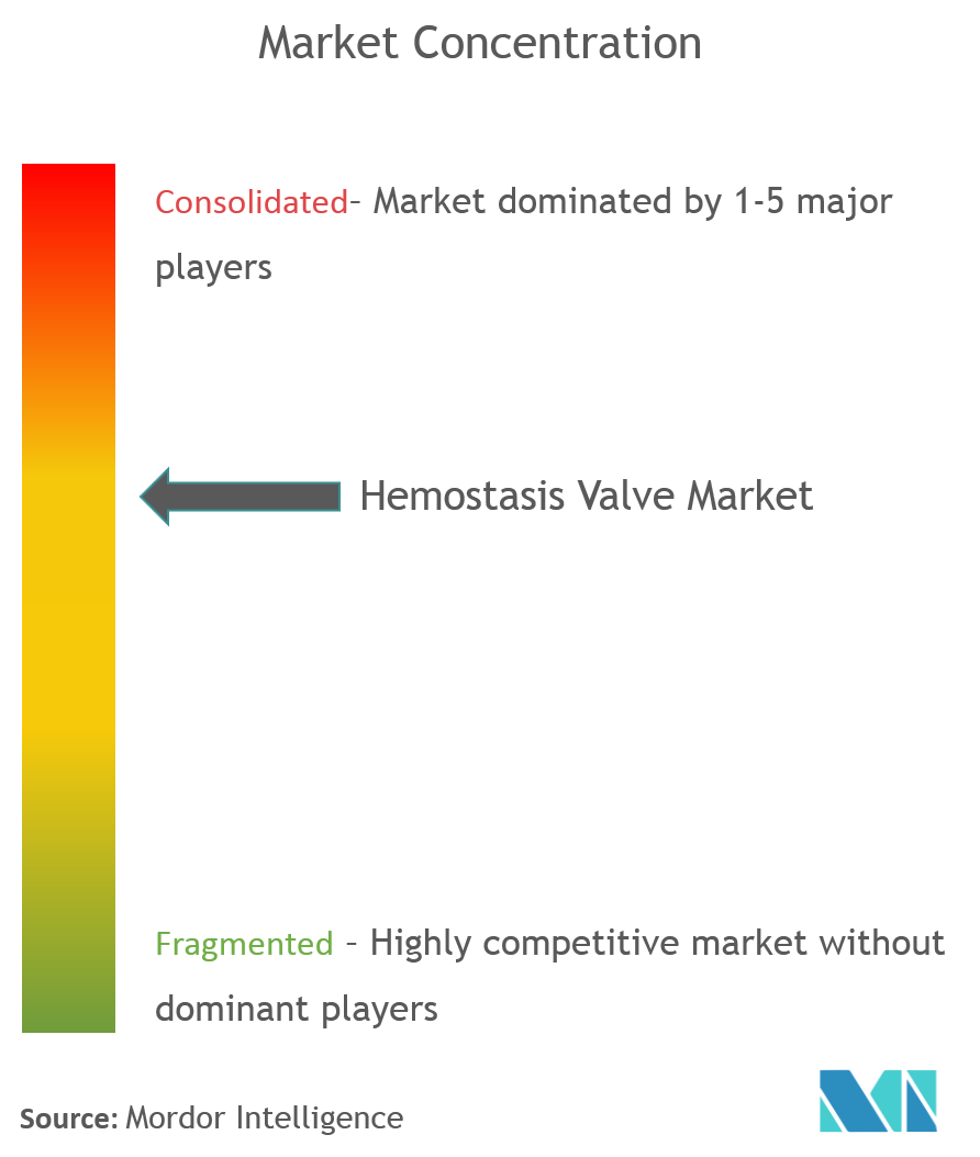 Hemostasis Valve Market Concentration