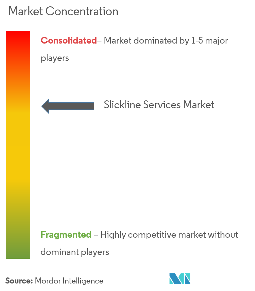 Slickline 바카라 전략 시장 집중도