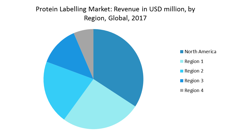 Protein Labelling Market Size, Share, Trends, Analysis 2019-2024